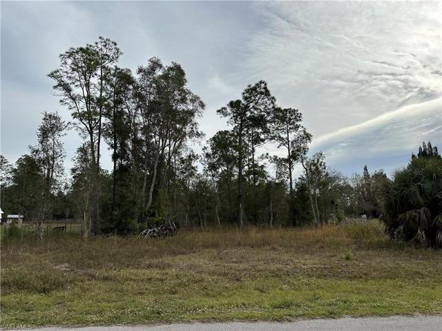 1312 MCARTHUR AVE, LEHIGH ACRES FL 33972