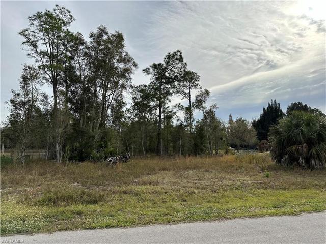 1312 MCARTHUR AVE, LEHIGH ACRES FL 33972