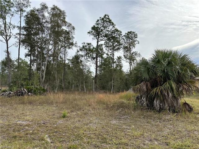 1312 MCARTHUR AVE, LEHIGH ACRES FL 33972