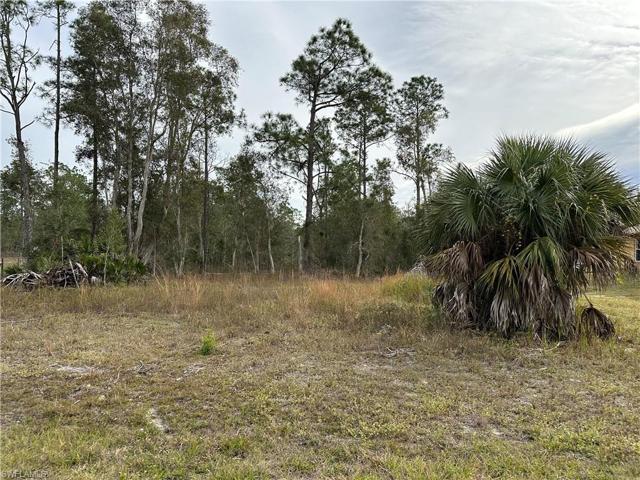 1312 MCARTHUR AVE, LEHIGH ACRES FL 33972