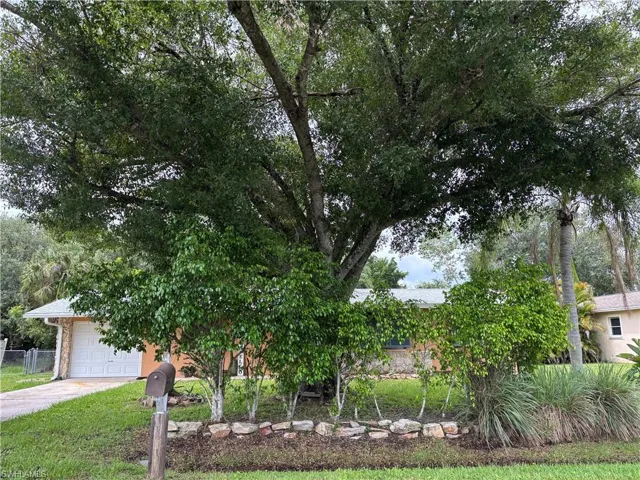 Mature oak trees, privacy Ficus hedge