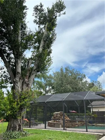 View from rear of property facing back of pool
