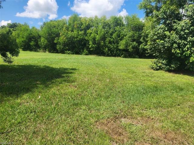 Front to back, view 1 (wooded area at back of lot)