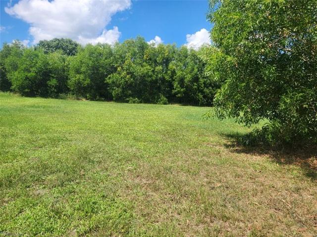 Front to back, view 2 (wooded area at back of lot)