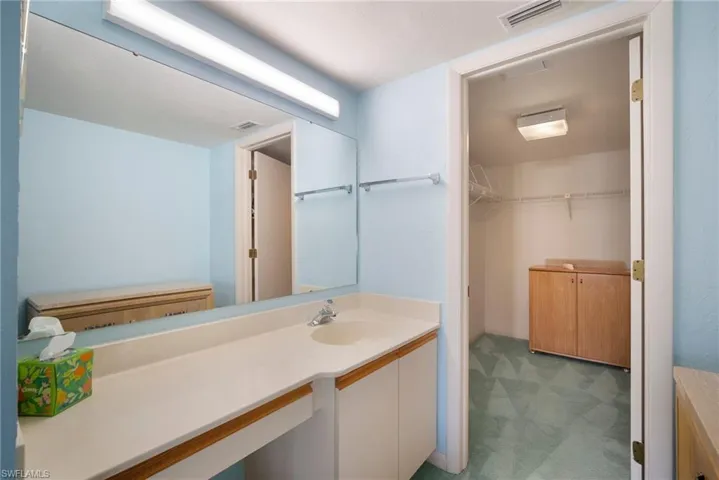 Extra sink and Vanity
