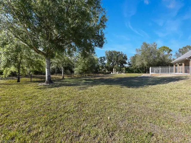 View of green lawn featuring view of scattered trees