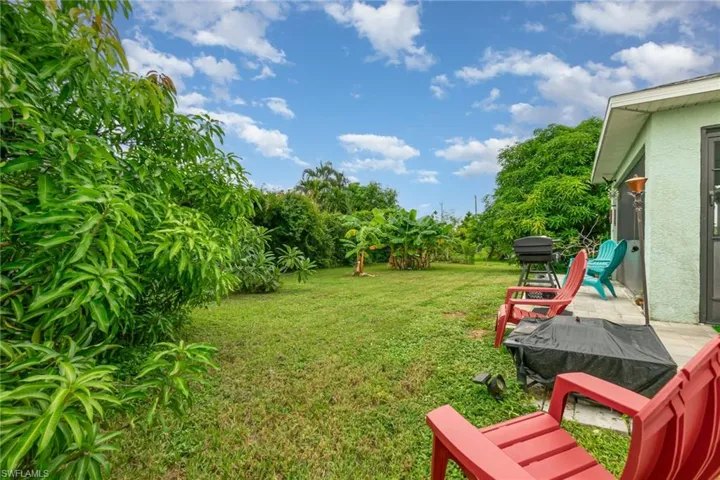 View of grassy yard