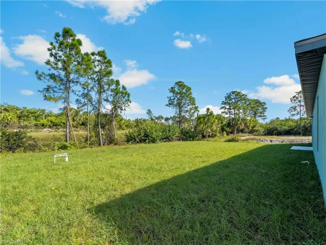 View of grassy yard
