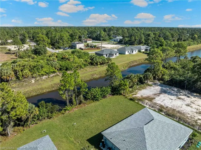 Drone / aerial view of a forest and a nearby body of water