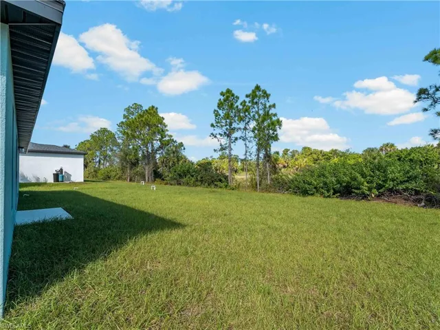 View of grassy yard