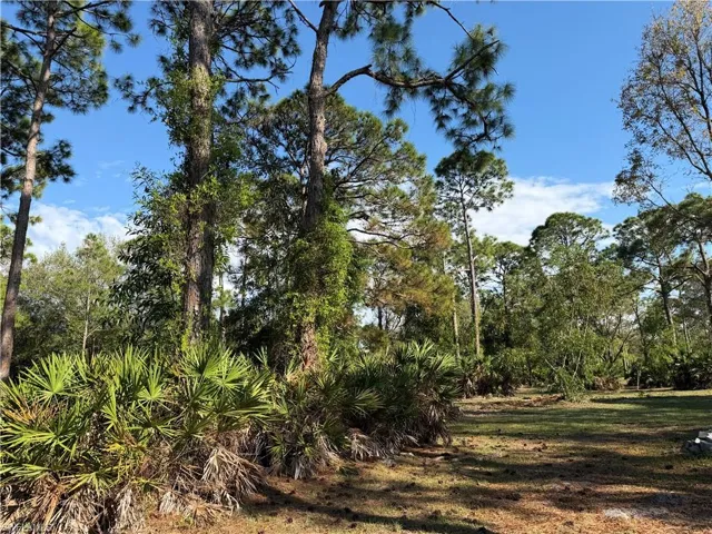 17090 Shady Grove Ln, Cape Coral, Florida 33909