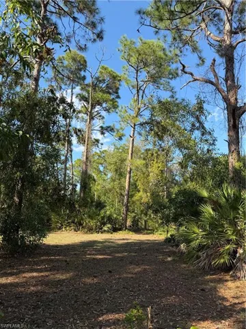 17090 Shady Grove Ln, Cape Coral, Florida 33909
