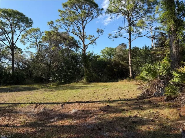 17090 Shady Grove Ln, Cape Coral, Florida 33909