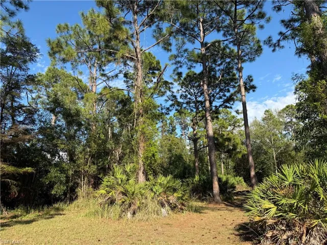17090 Shady Grove Ln, Cape Coral, Florida 33909