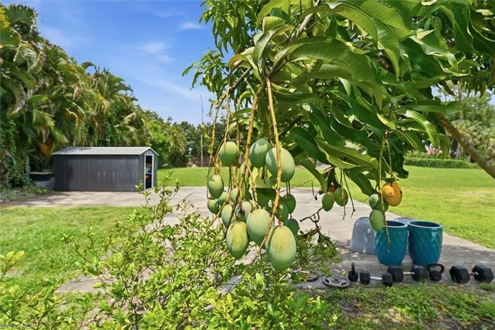 721 Logan Blvd S, Naples, Florida 34119