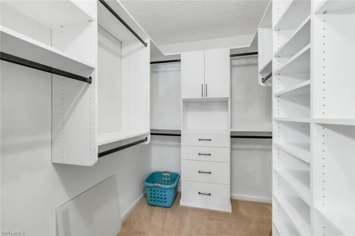 Spacious closet with light carpet