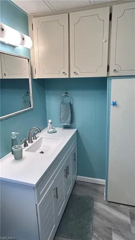 Bathroom featuring vanity and dark wood-style flooring