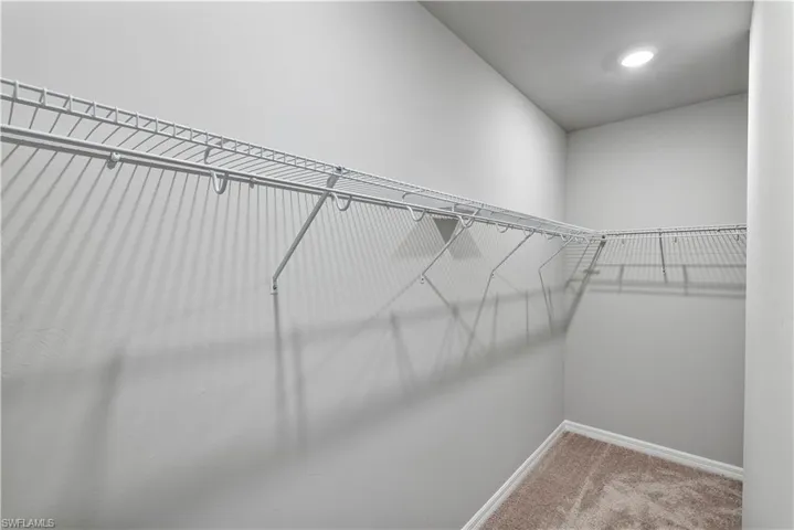 Spacious closet featuring carpet floors