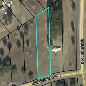NW Live Oak  CIR, Jennings, FL 32053