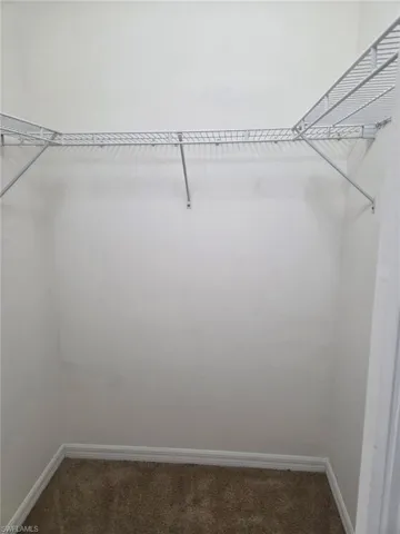 Spacious closet with dark carpet