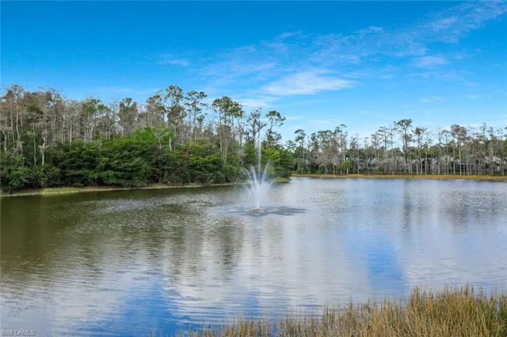 Water view