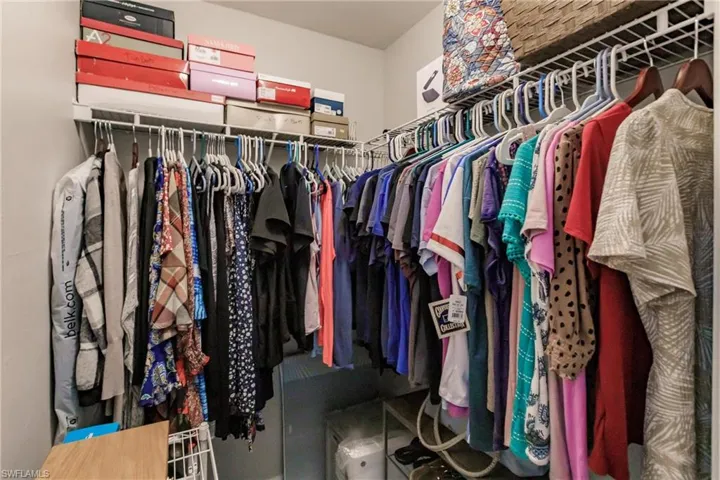 Spacious closet with carpet