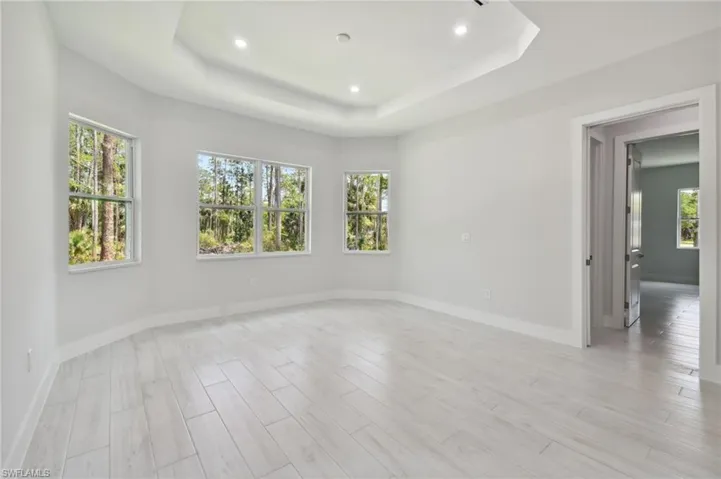 Spare room featuring plenty of natural light, a raised ceiling, and light hardwood / wood-style flooring