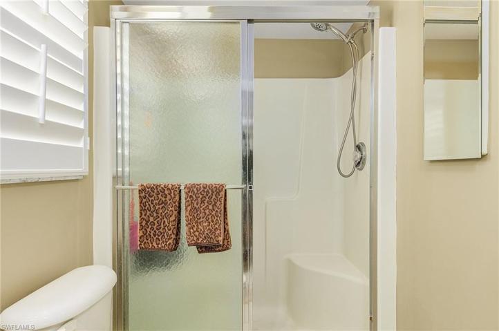 Main Bath Shower