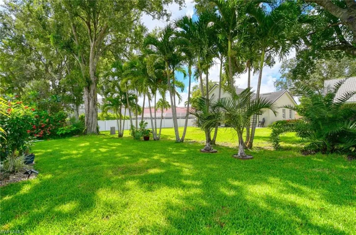 Back Yard/View
