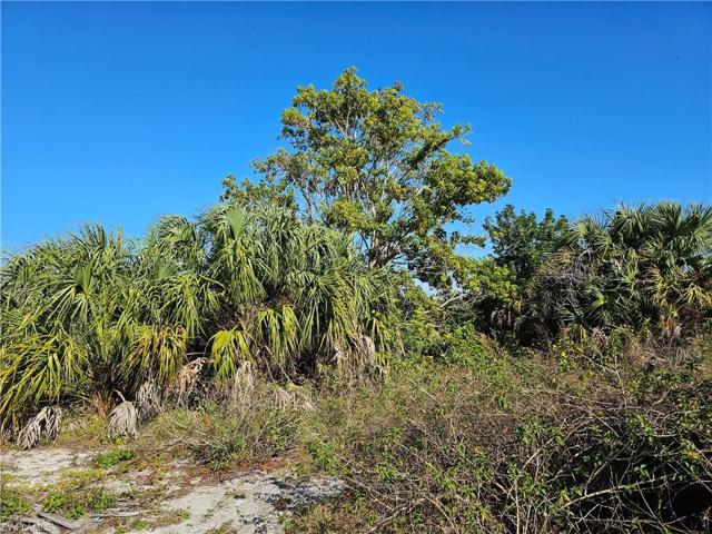 3921 Fort Denaud RoadLaBelle, FL 33935