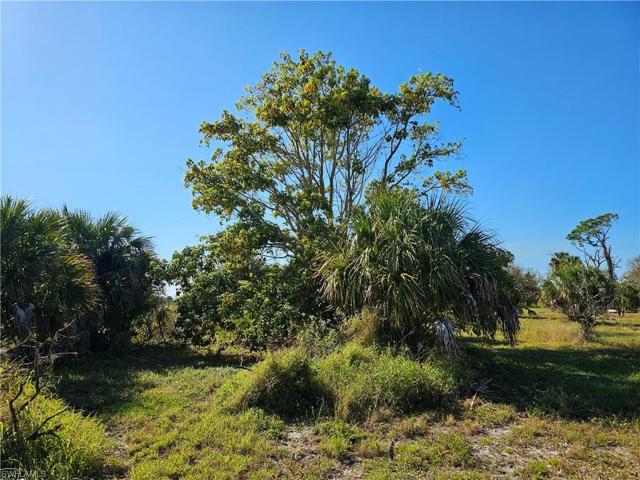 3921 Fort Denaud RoadLaBelle, FL 33935