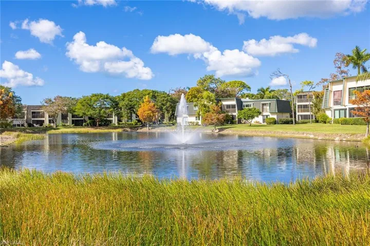Water view