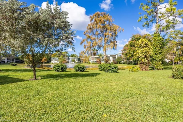 View of grassy yard