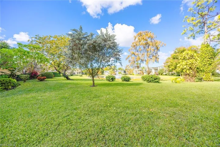 View of green lawn