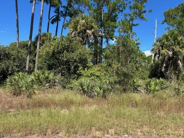 675  Nassau  CIR, Labelle, FL 33935