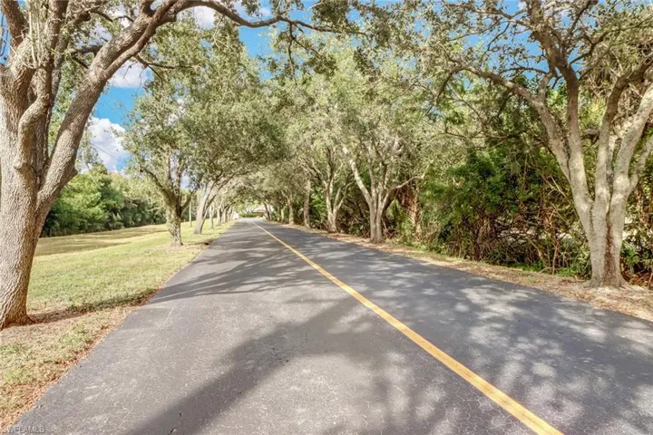 Community Photo