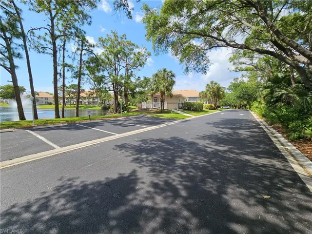 Tree lined streets