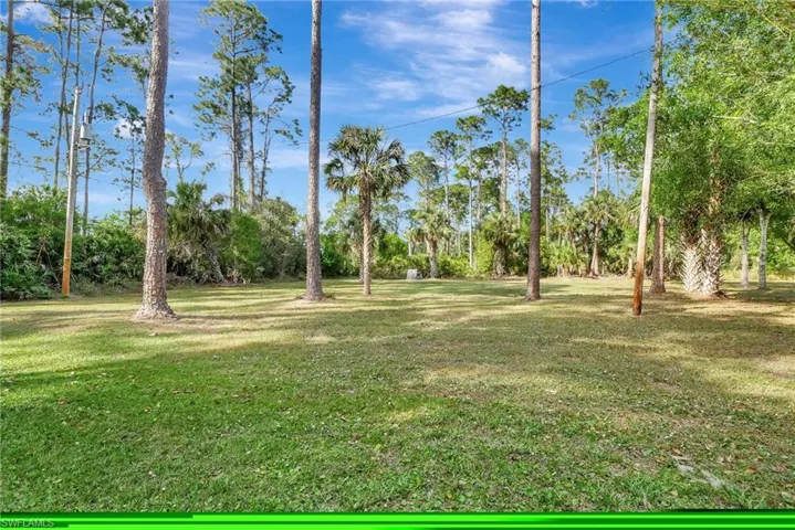 Expansive cleared lot featuring mature pine trees and natural foliage
