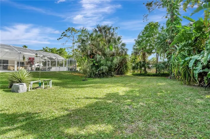 Expansive lawn area with mature tropical foliage