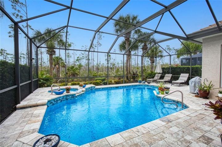 Pool and Spa