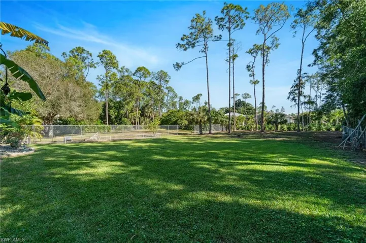 View of yard