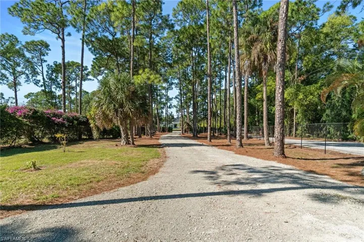 View of gravel driveway