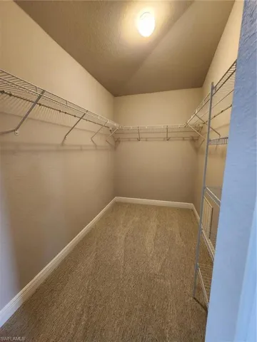 Walk in closet featuring carpet