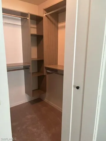 Spacious closet featuring dark colored carpet