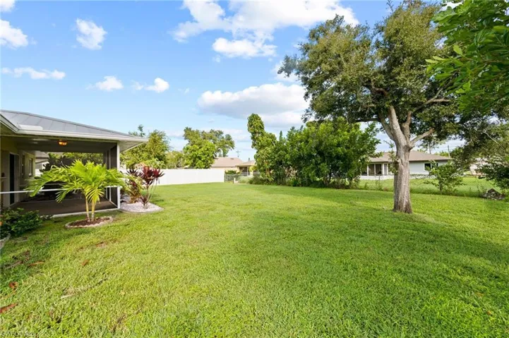 Backyard