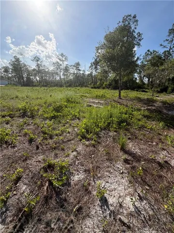 1202 Johns Ave, Lehigh Acres, Florida 33972