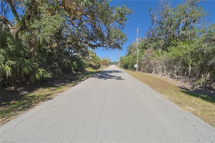 Roadway with extensive natural foliage and mature trees