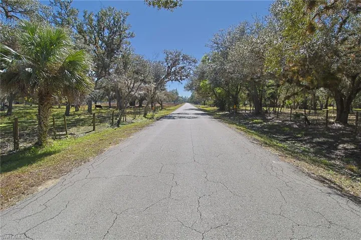 Paved road bordered by expansive land featuring mature trees, a palm tree, and a wire fence