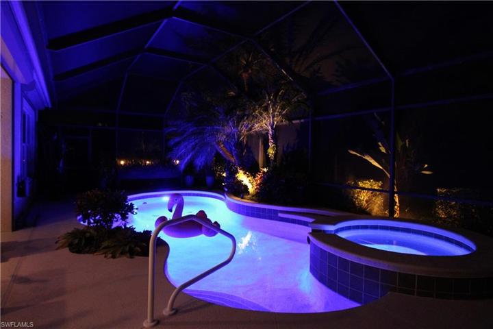 Night View