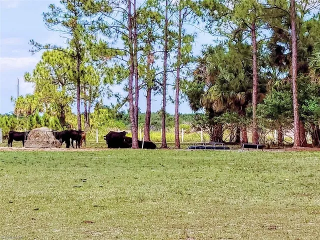 1001 Homestead Ave, Clewiston, Florida 33440